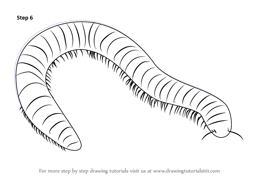 Millipede Coloring Pages