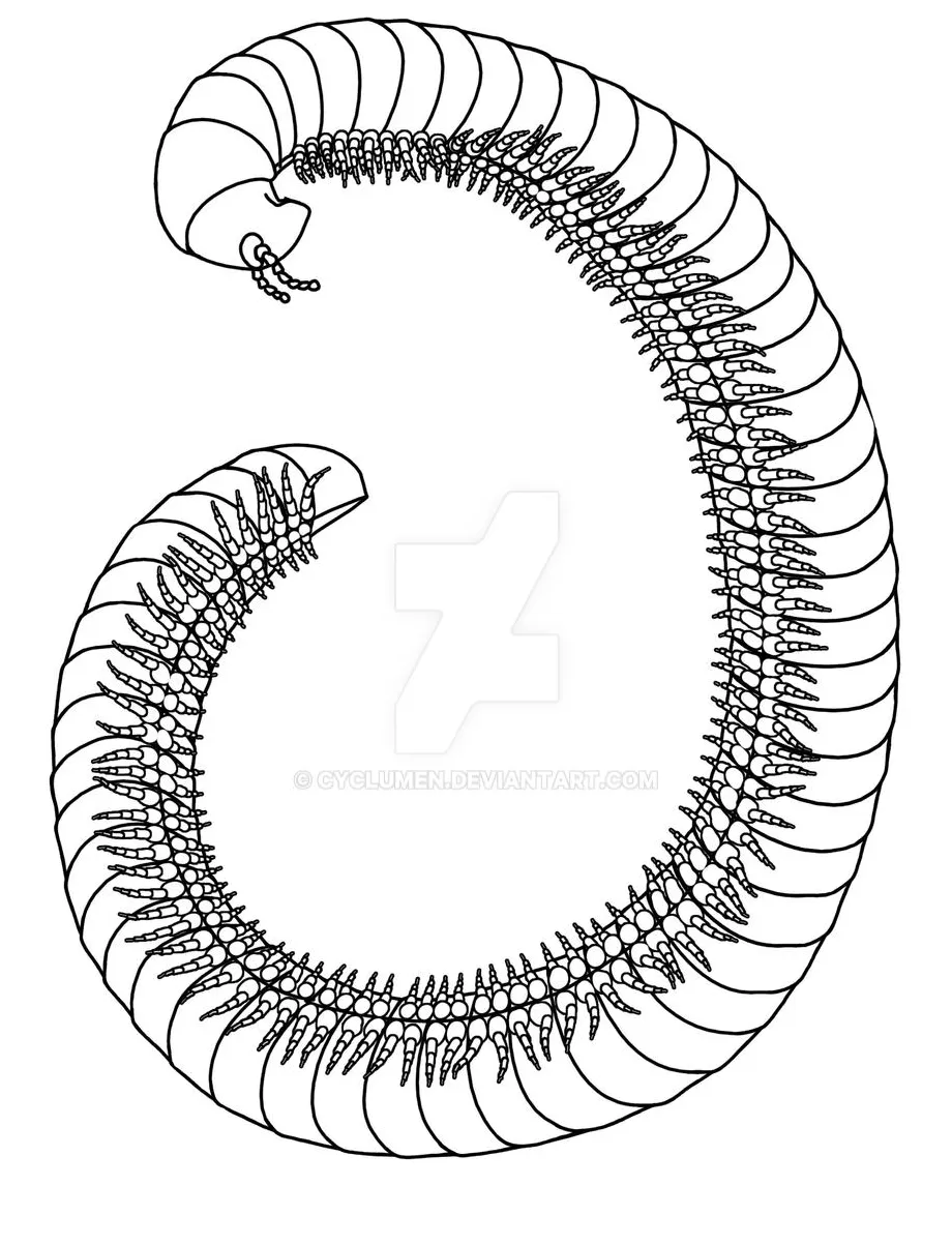 Millipede Coloring Pages