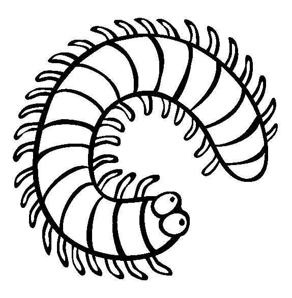 Millipede coloring page - Animals Town - animals color sheet
