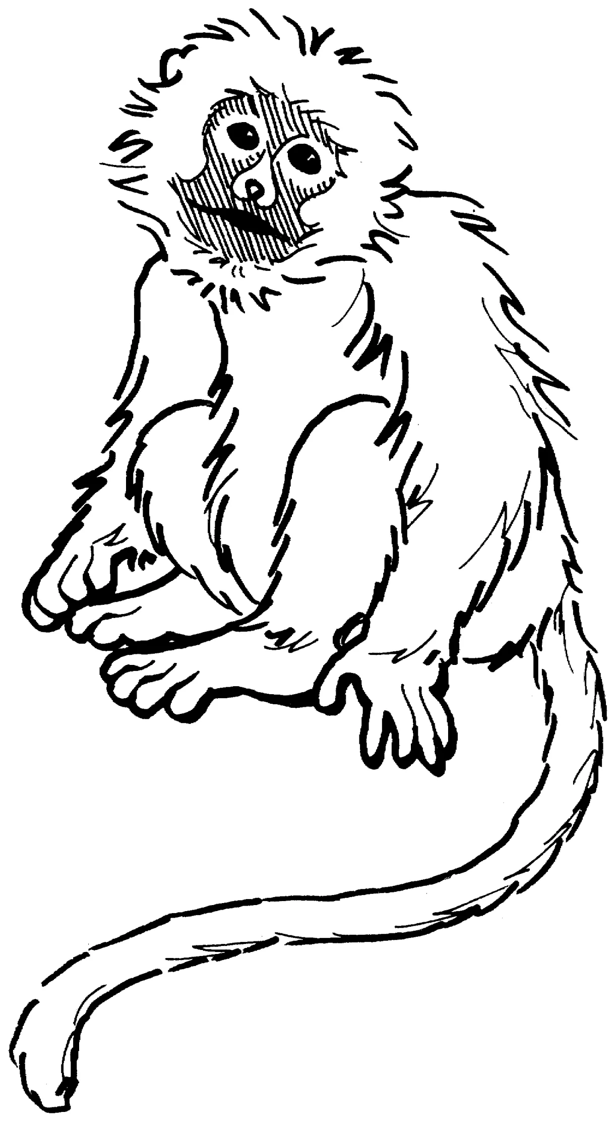Monkey Coloring Pages