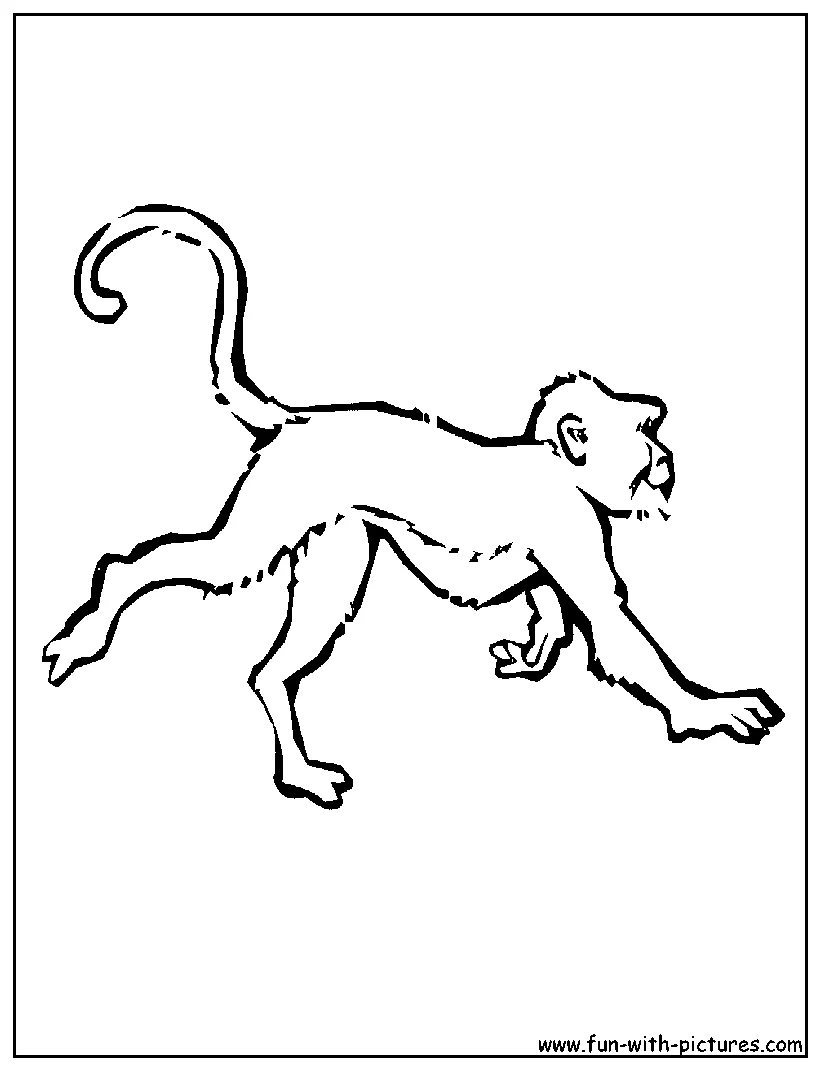 Monkey coloring page