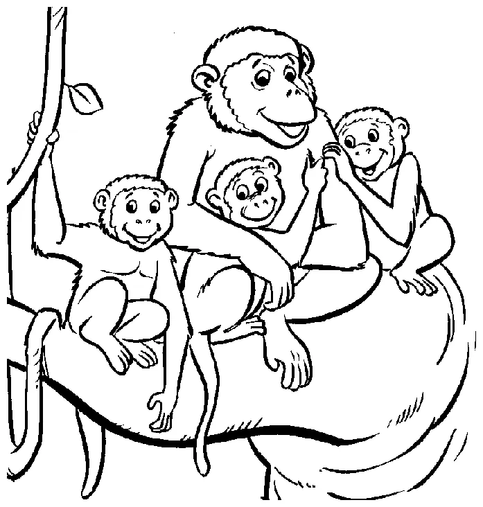 Vervet monkey coloring page animals town animals color sheet