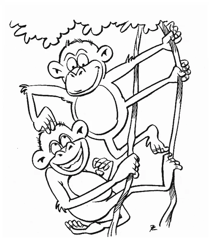Monkey coloring page animals town animal color sheets monkey picture