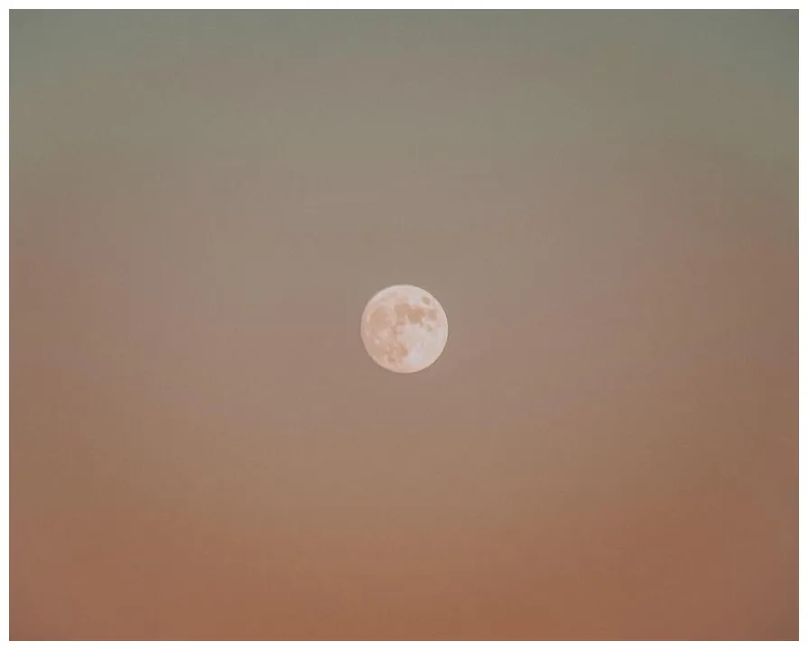 Pink moon s, s and s for