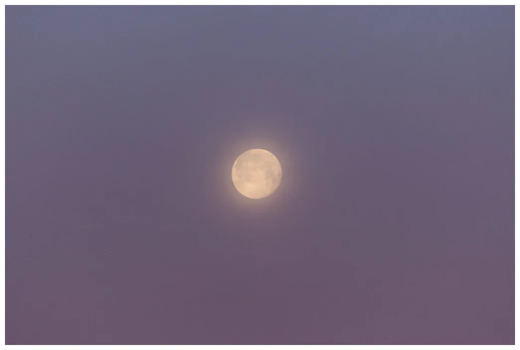 Glowing moon download free nature stock