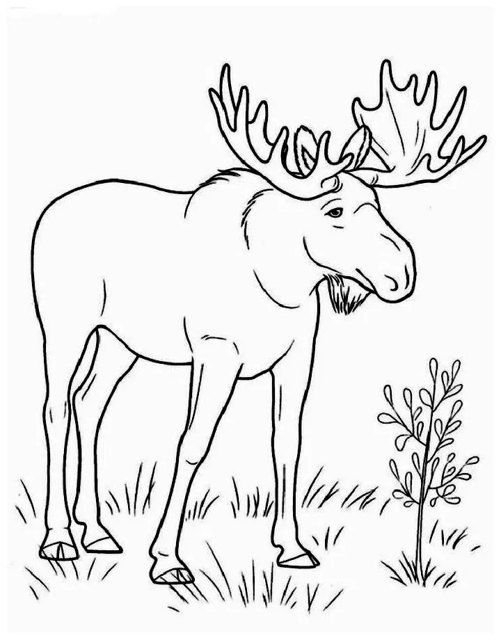 S free printable pdf