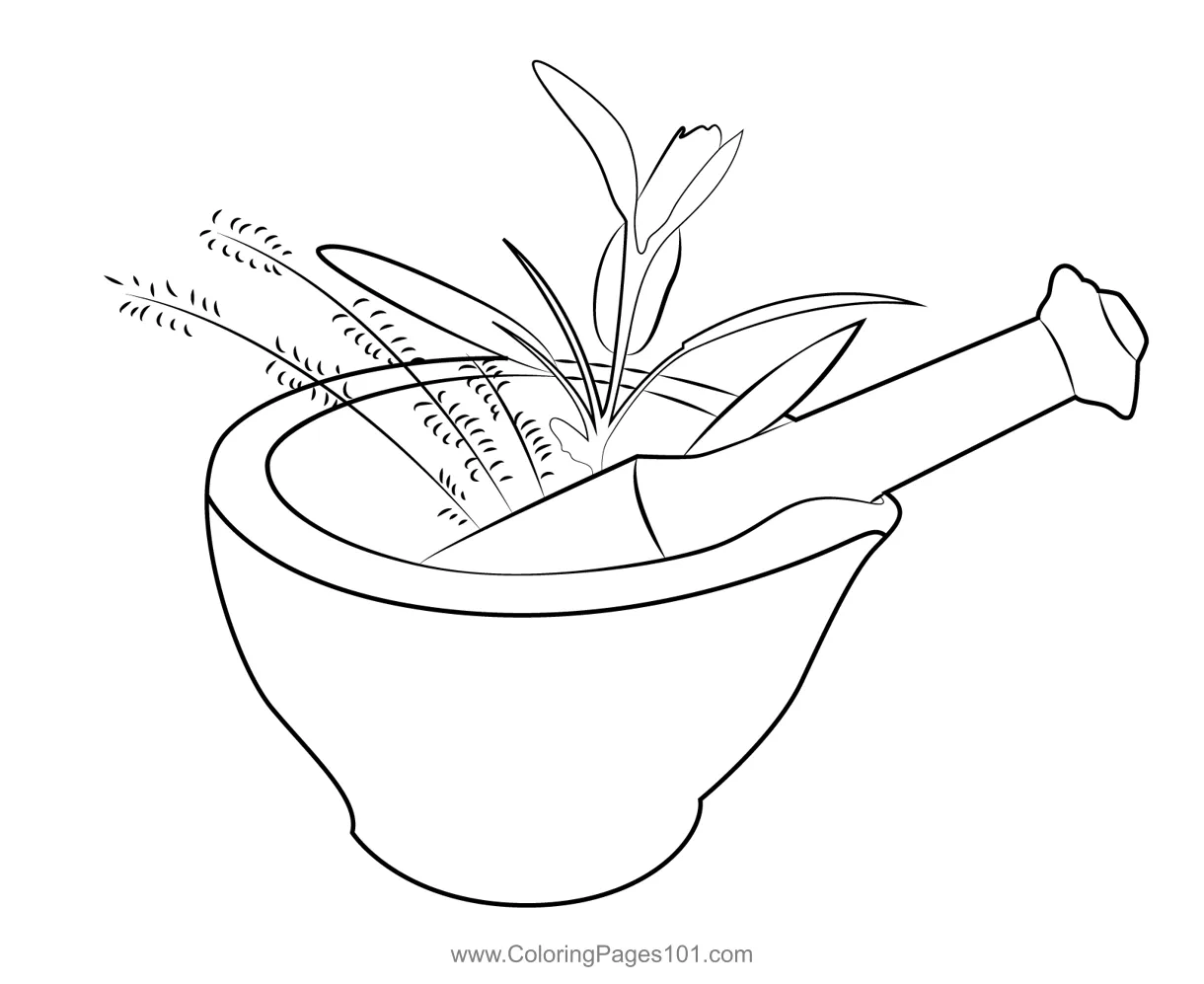 Pestle and mortar coloring page for kids free crocodile printable