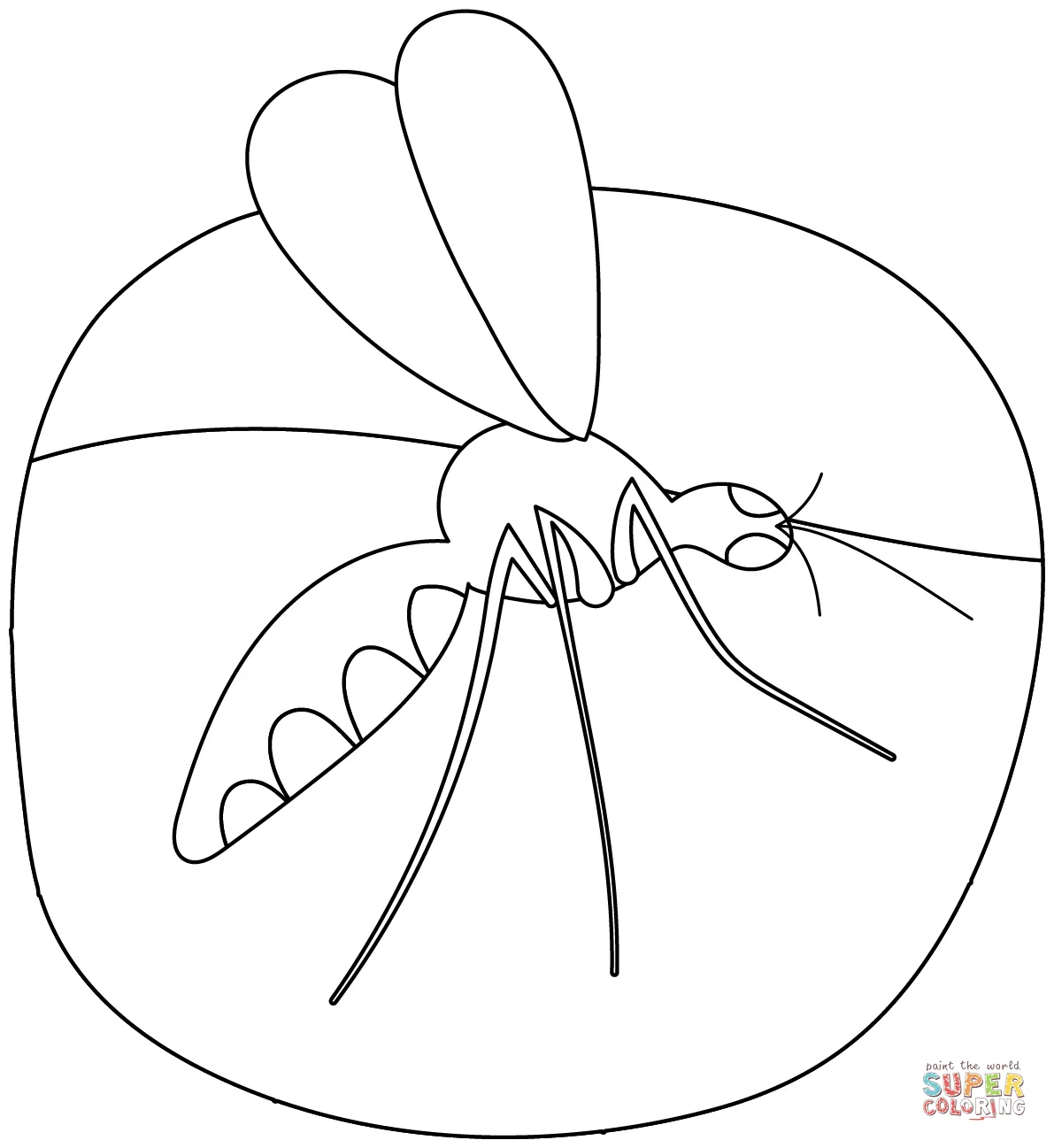 Free printable coloring pages