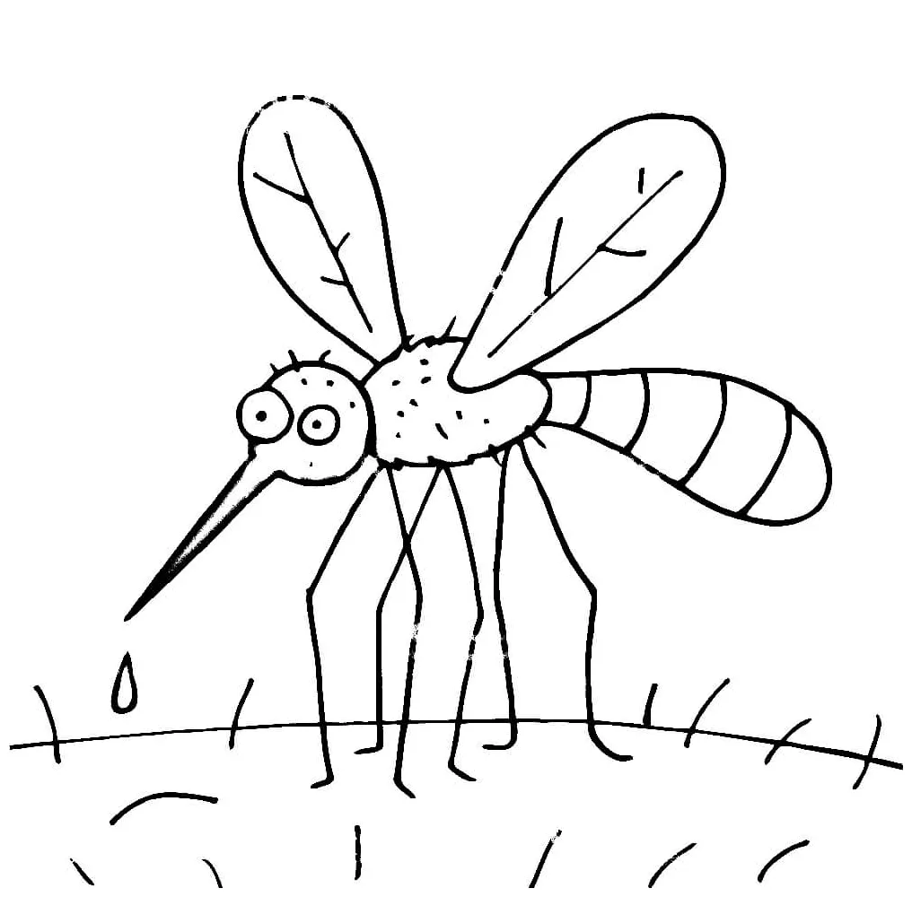 Amazing download, print or color online for free