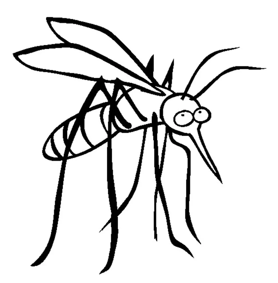 Mosquito larvae coloring page coloring pages