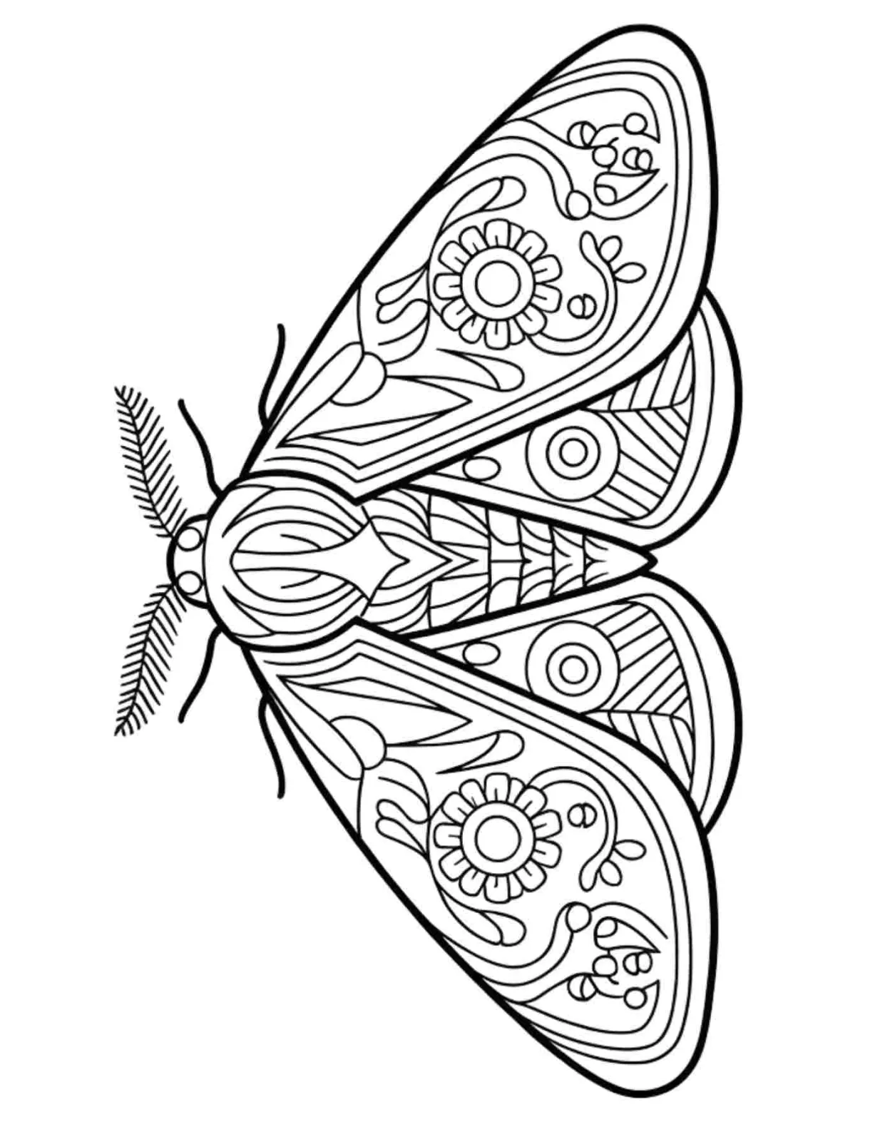 15 diverse s my coloring spot