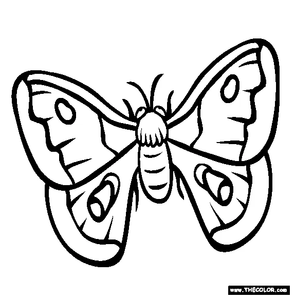 Free moth online coloring