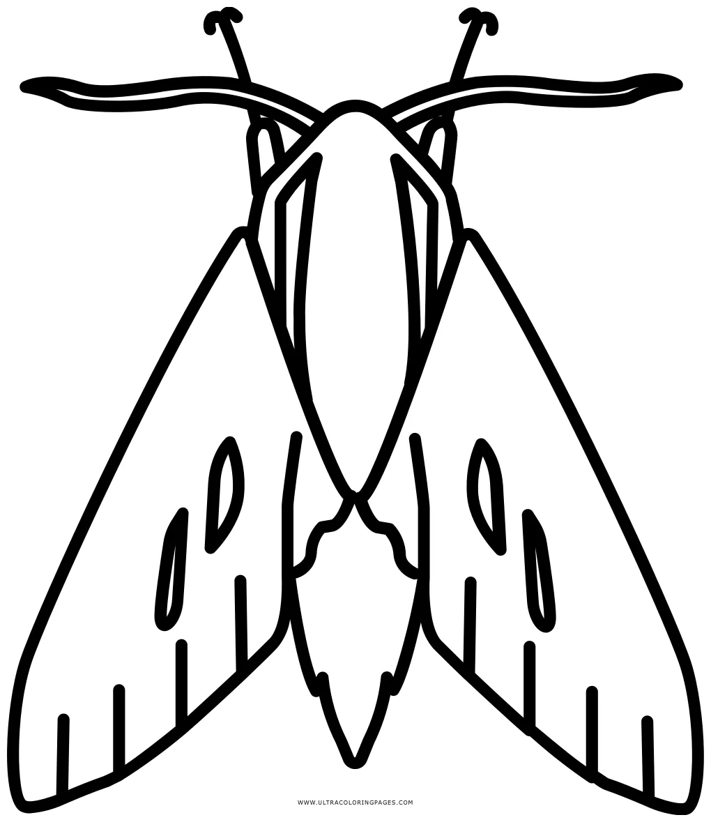 At getcolorings free printable colorings pages