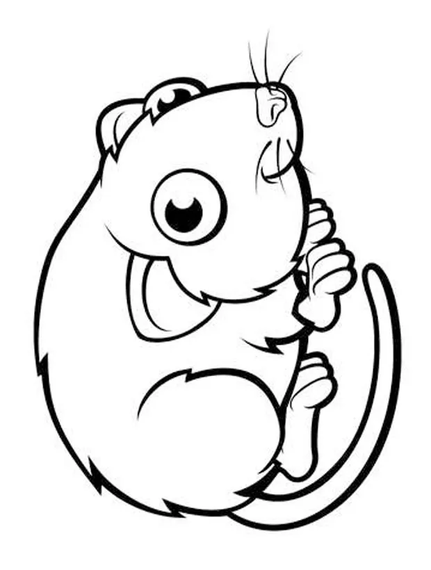 Funny coloring pages