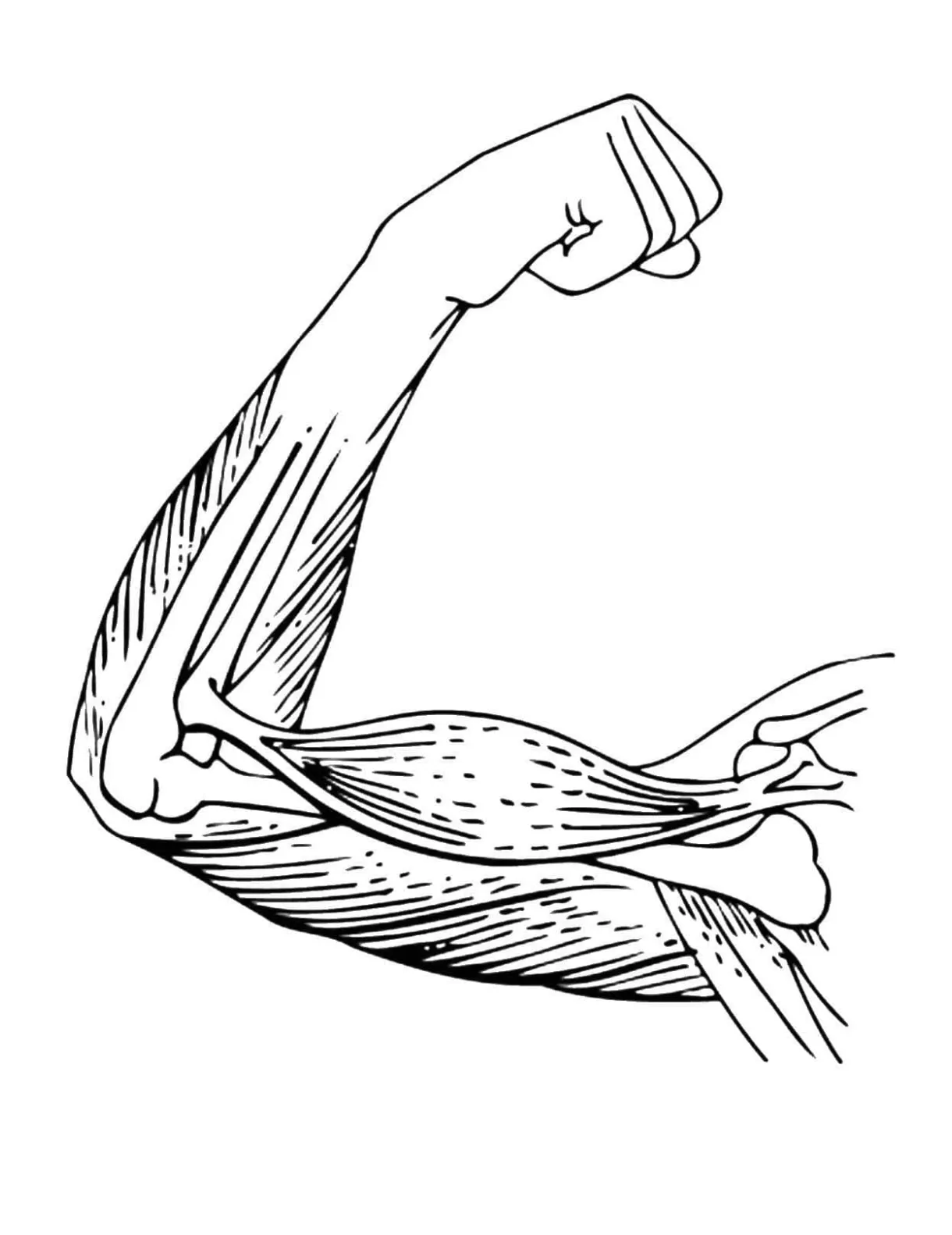 Printable hand and print printable coloring page