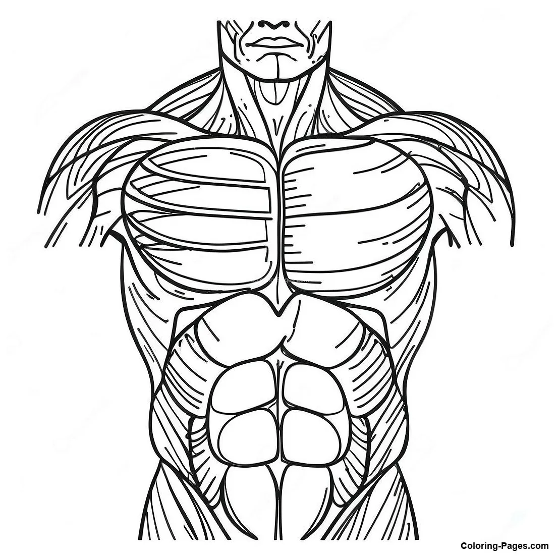 Detailed coloring-pages