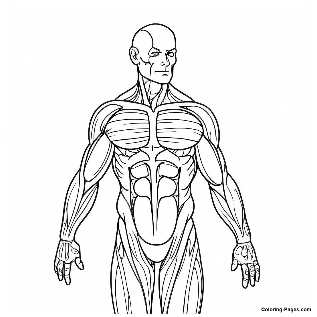 Detailed coloring-pages