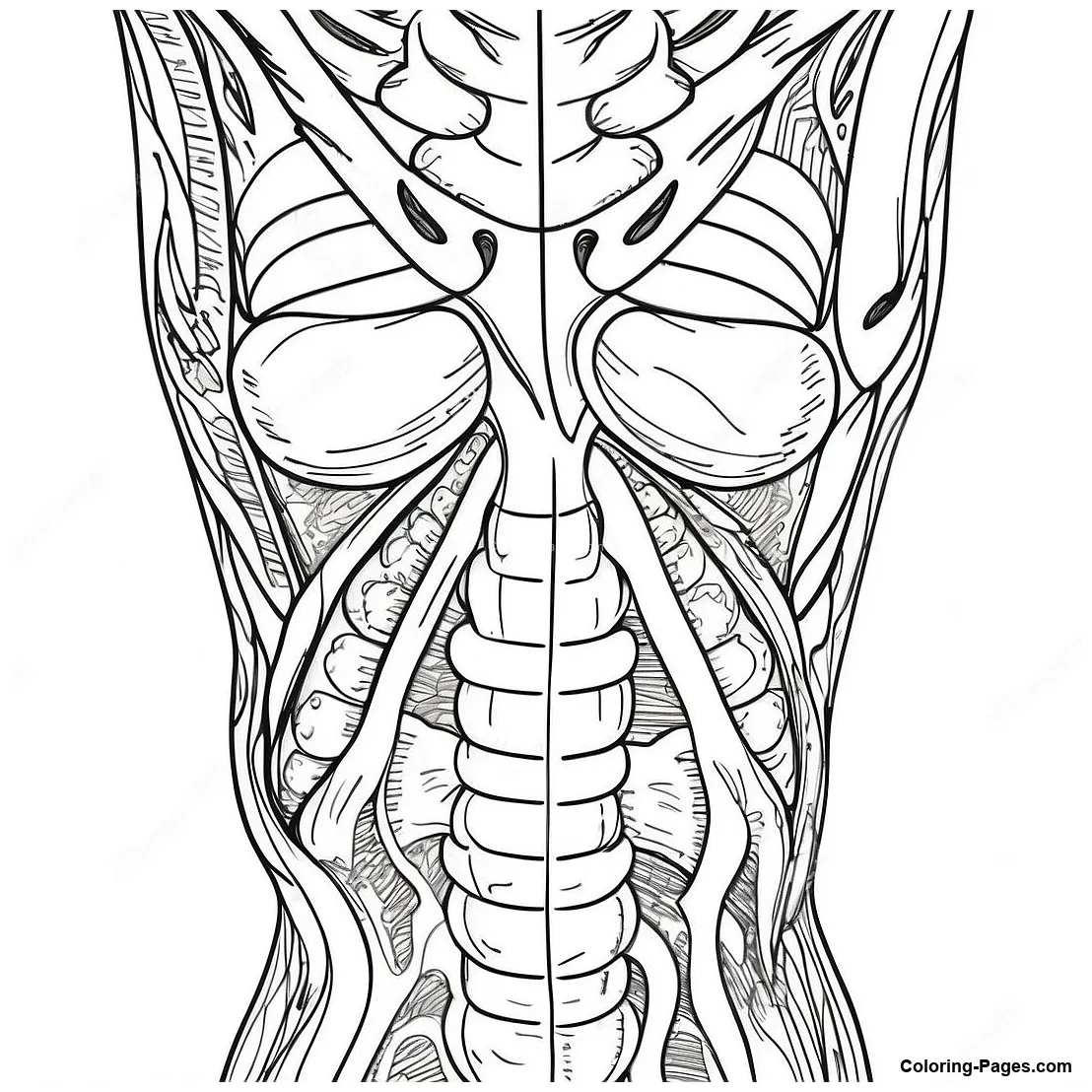 Detailed coloring-pages