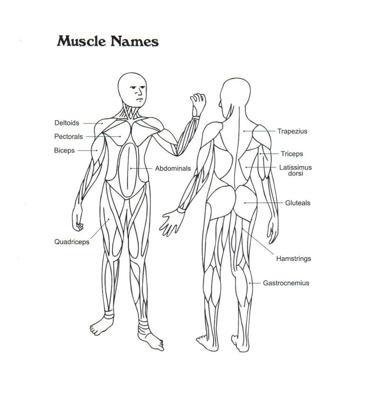 Download, print or color online for free