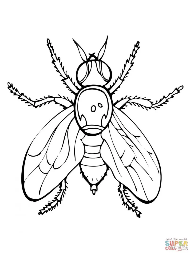 Jar Coloring Page at GetColorings.com | Free printable colorings pages