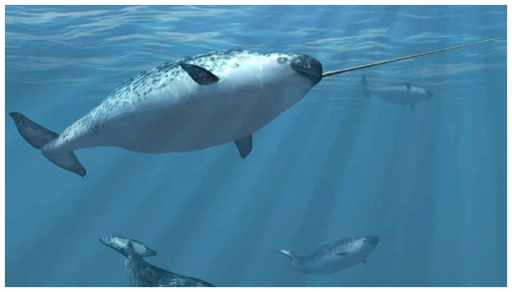 Mystical narwhal names 250+ from enchanted to legendary