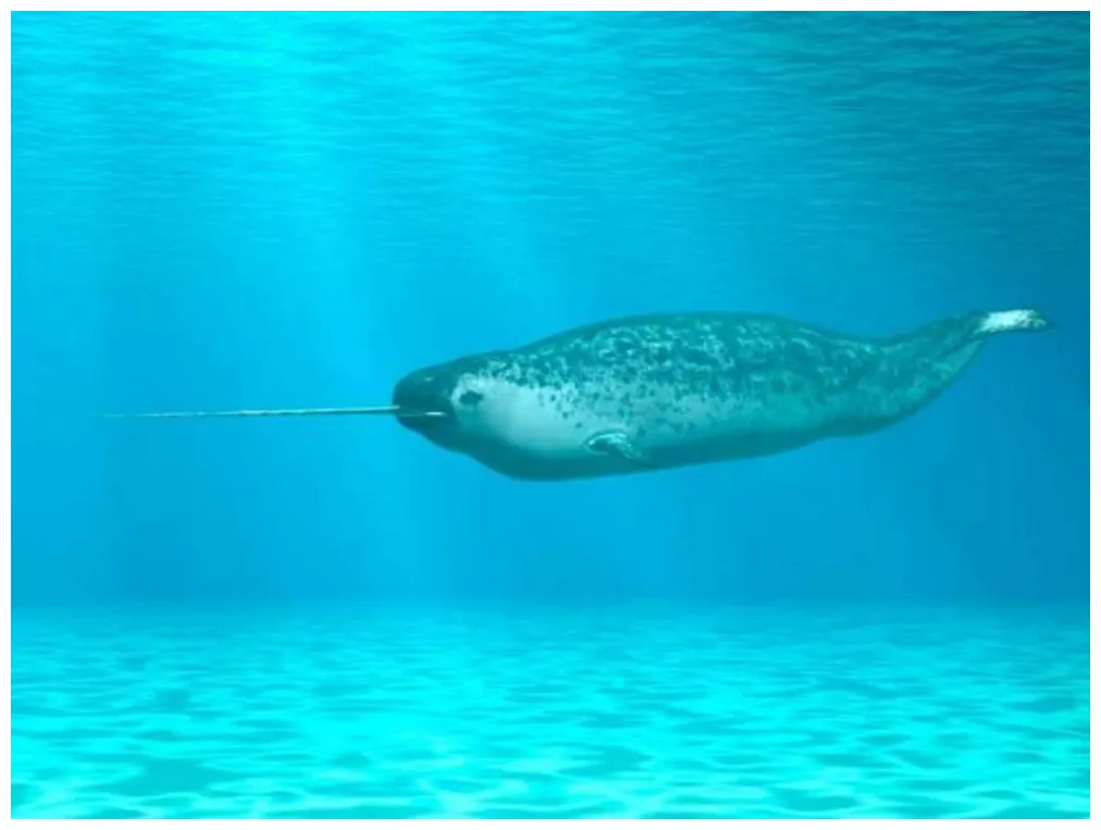 Seven legendary cryptids that turned out to be real! nexus newsfeed