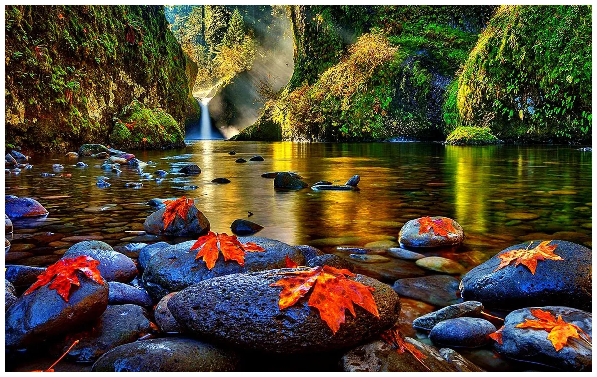 Beauties nature s cave printable coloring page