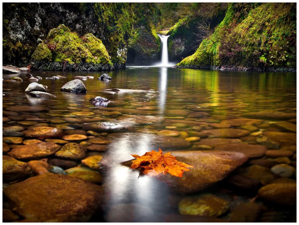 강 와이드 벽지에서 노란 잎 바탕 화면시사 10