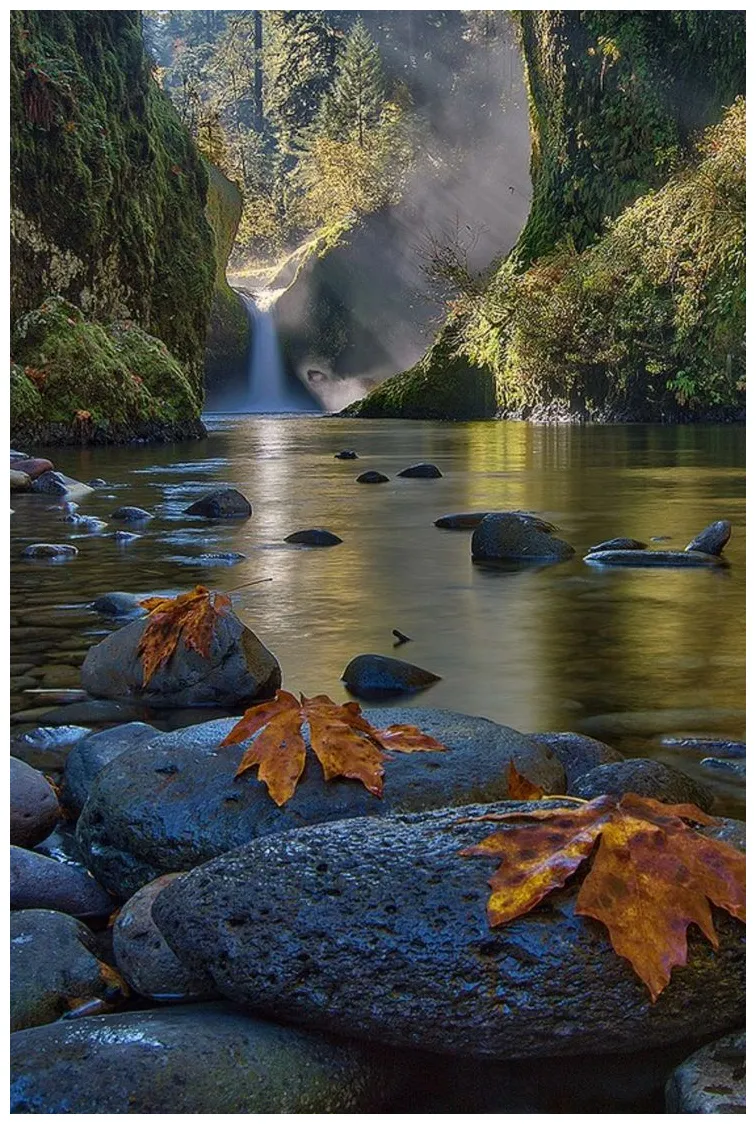 Serene waterfall lake in nature