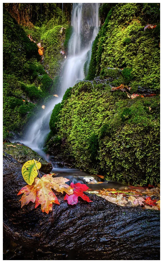 Fall springs in taylor canyon graph by gina gardner fine art america