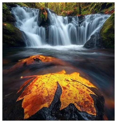 อิบาดุรเราะฮฺมาน ลักษณะปวงบ่าวของผู้ทรงกรุณาปรานี