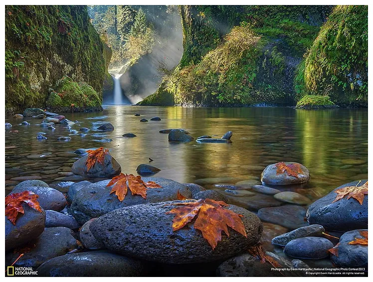 National Geographic Nature Wallpapers