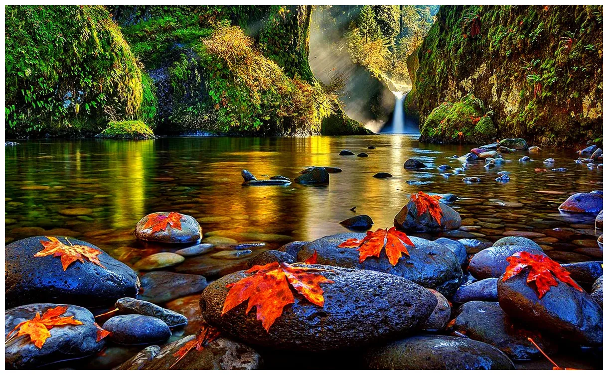 L’histoire des fédérés