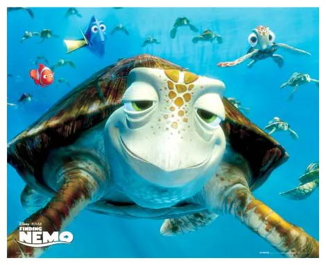 Nemo Turtle Quotes. QuotesGram