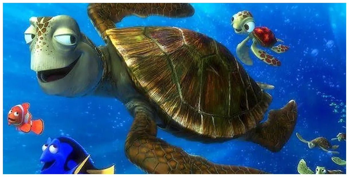 Disney: 20 Best Quotes From Finding Nemo