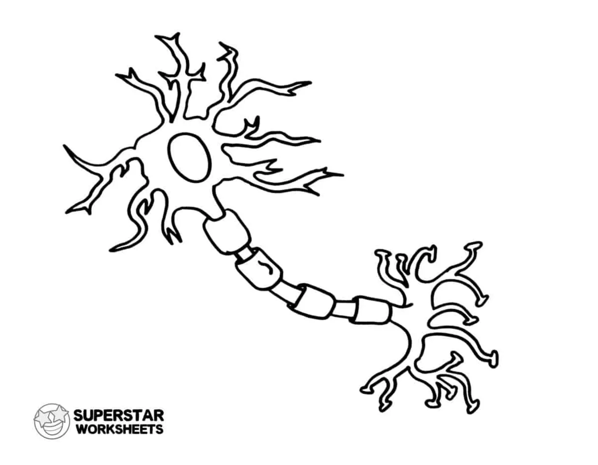 Nerve cell coloring page