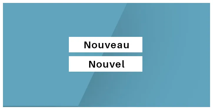 Quelle différence y a-t-il entre « nouveau » ou « nouvel