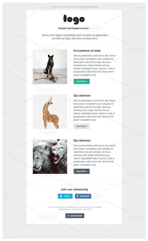 7 best Newsletter Format images on Pinterest | Newsletter format, Email