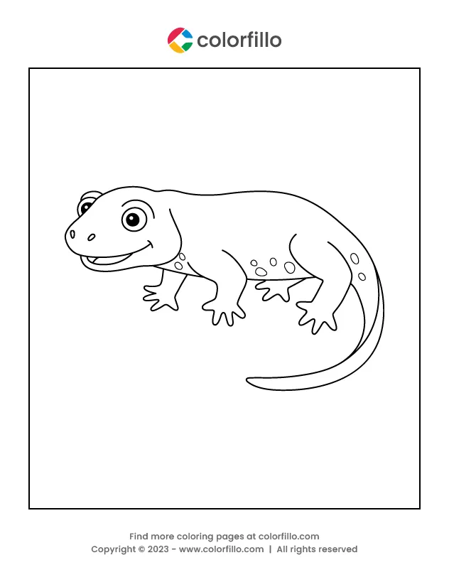 Free online colorfillo