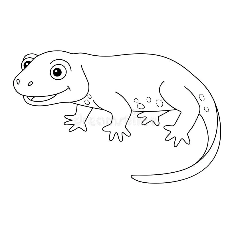 Newt coloring page