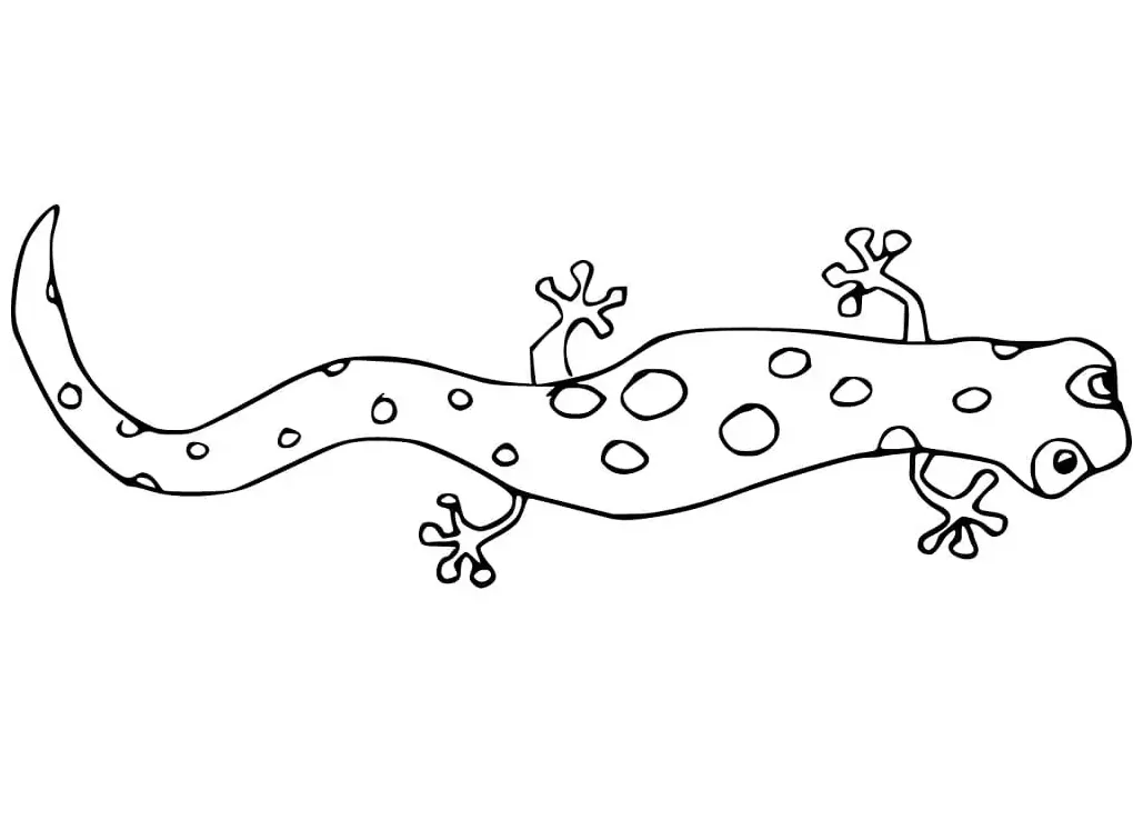 Lovely free printable coloring pages for kids