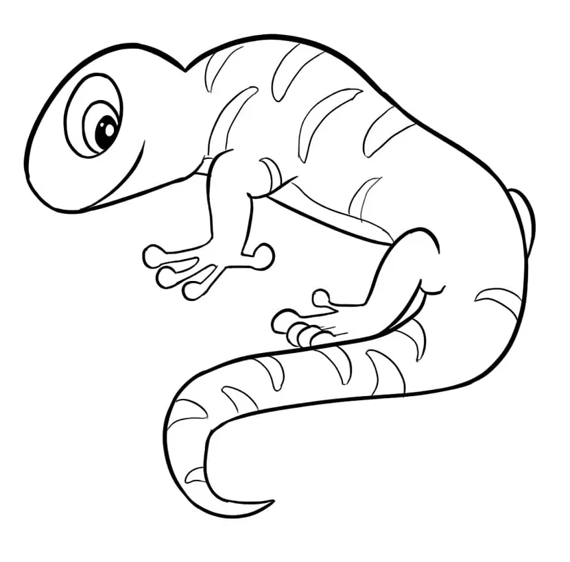 Newt amphibian coloring page free printable coloring pages for kids