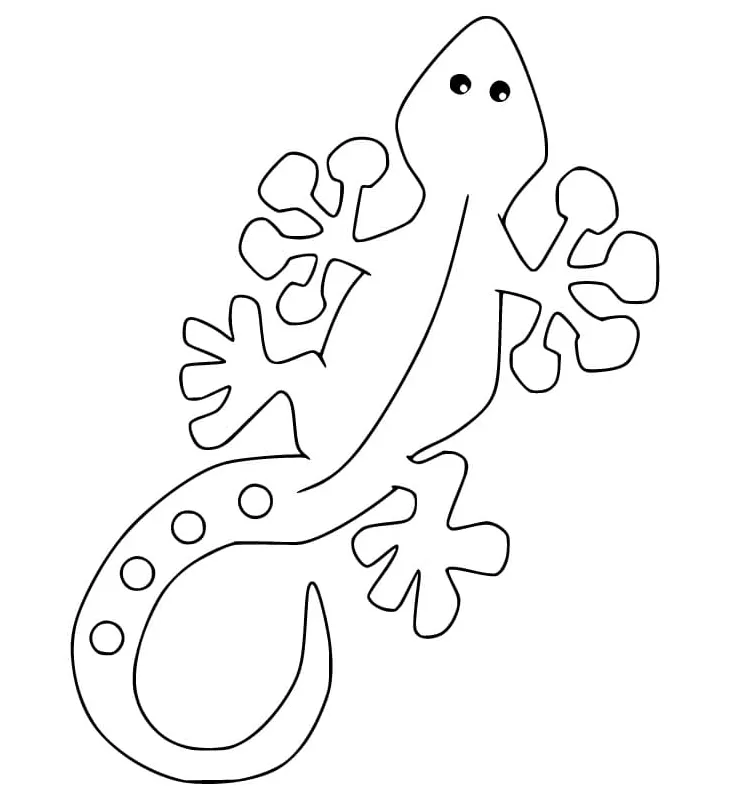 Newt coloring page