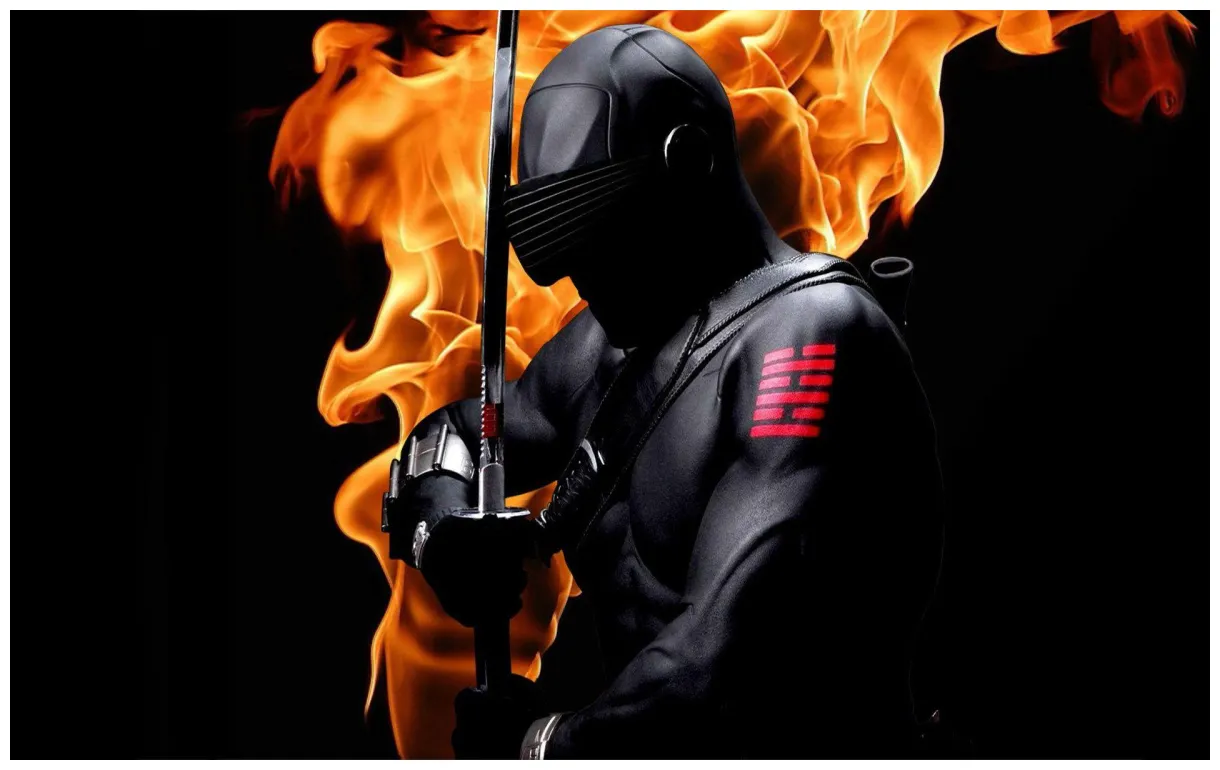 Ninja s top free ninja s access