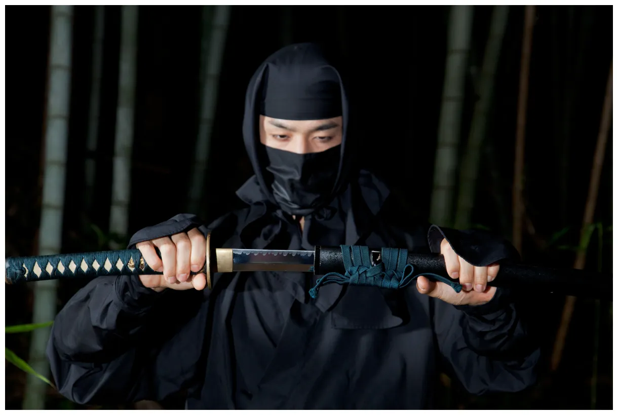 Truth about ninja, part 1 time to be united!