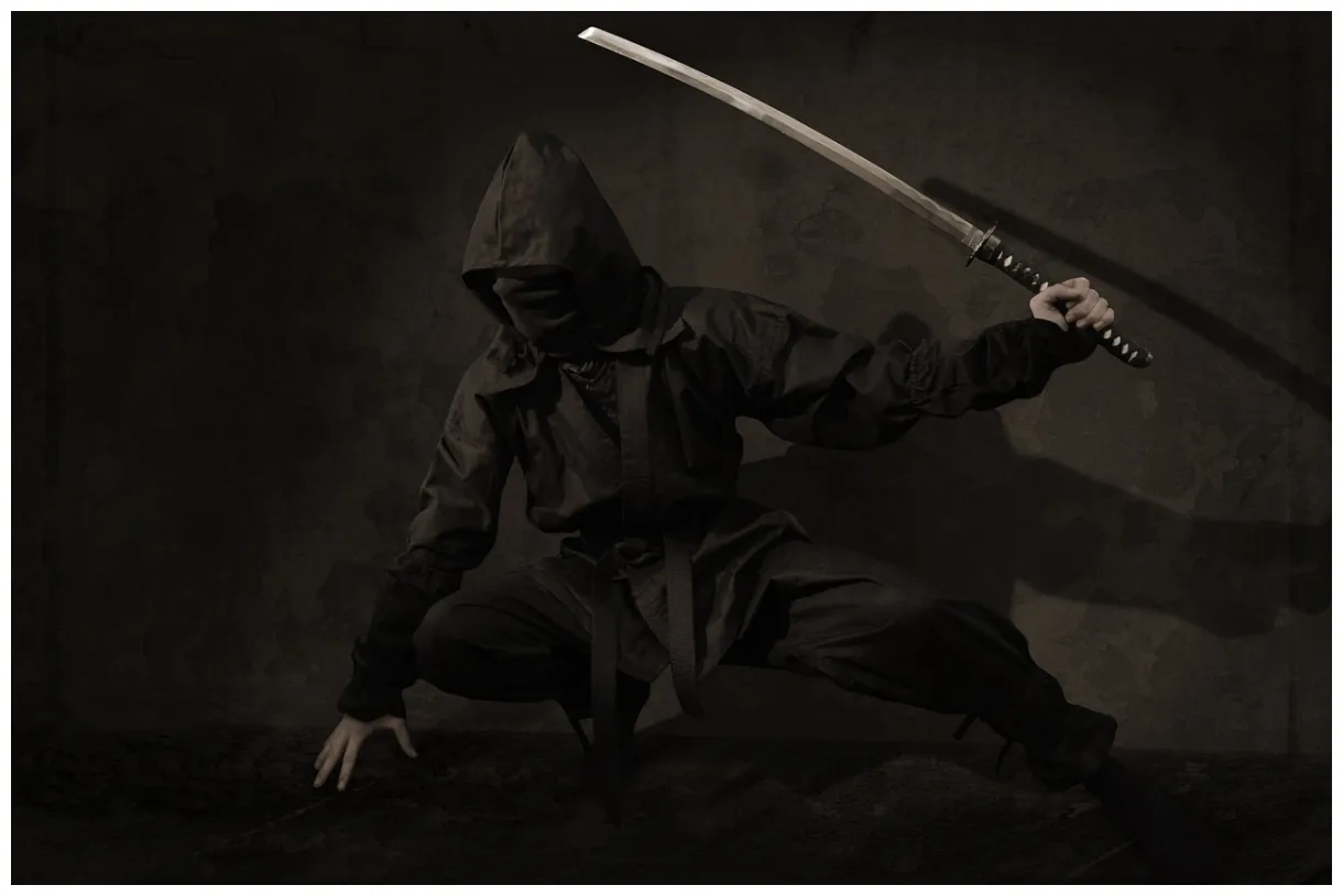 30,000+ free female ninja & ninja s pixabay