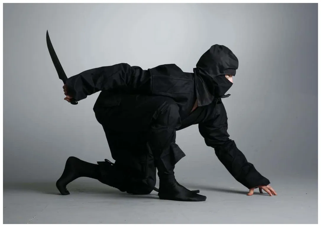 25 Sneaky Facts About Ninjas