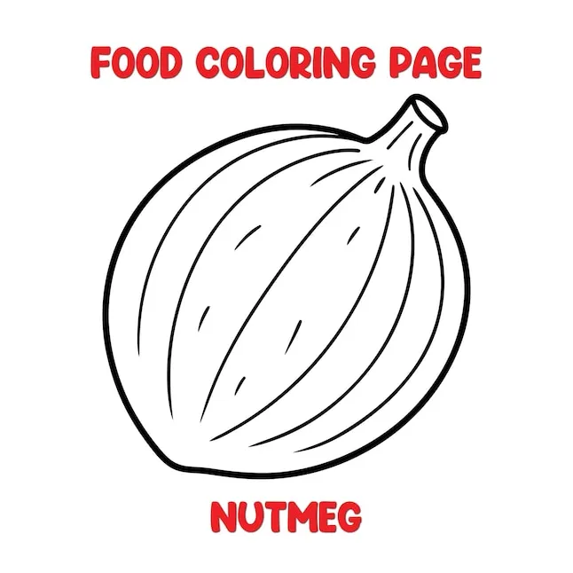 Premium vector vector of nutmeg illustration coloring page for kids