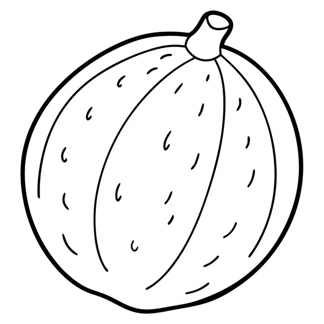 A coloring page of an food nutmeg with no color just black lines vector