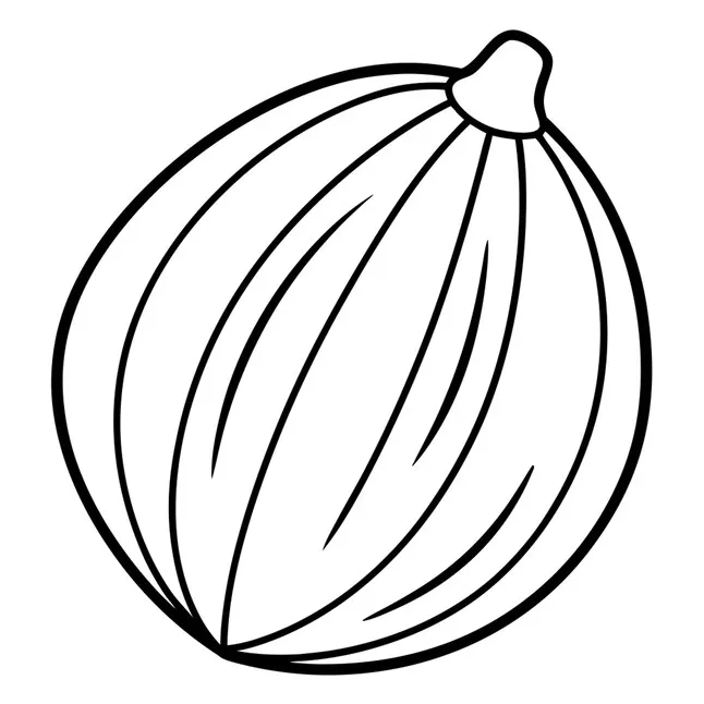 A coloring page of an food nutmeg with no color just black lines vector